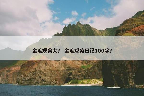 金毛观察犬？ 金毛观察日记300字？