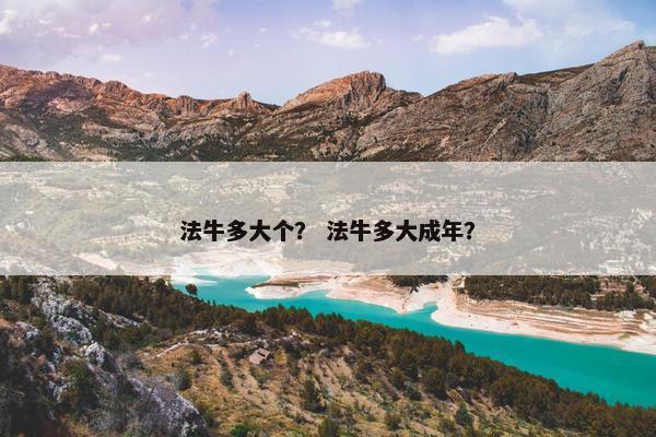 法牛多大个？ 法牛多大成年？