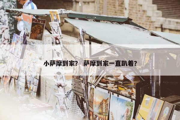 小萨摩到家？ 萨摩到家一直趴着？
