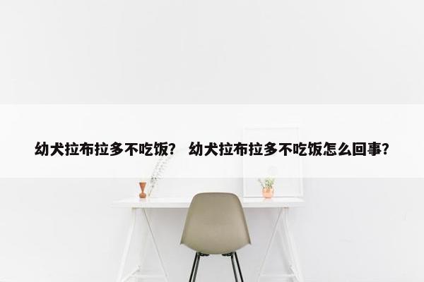 幼犬拉布拉多不吃饭？ 幼犬拉布拉多不吃饭怎么回事？