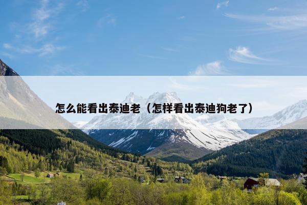 怎么能看出泰迪老（怎样看出泰迪狗老了）