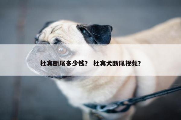 杜宾断尾多少钱？ 杜宾犬断尾视频？
