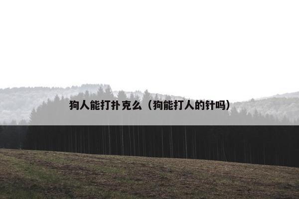 狗人能打扑克么（狗能打人的针吗）