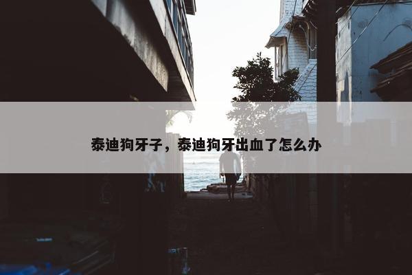 泰迪狗牙子，泰迪狗牙出血了怎么办