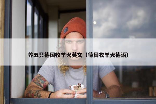 养五只德国牧羊犬英文（德国牧羊犬德语）