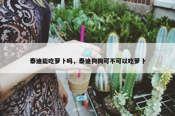 泰迪能吃萝卜吗，泰迪狗狗可不可以吃萝卜