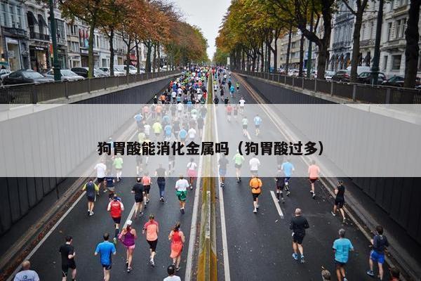 狗胃酸能消化金属吗（狗胃酸过多）