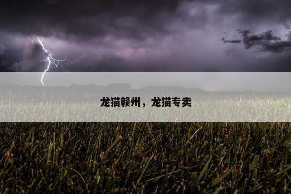 龙猫赣州，龙猫专卖
