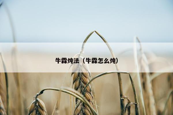 牛霖炖法（牛霖怎么炖）