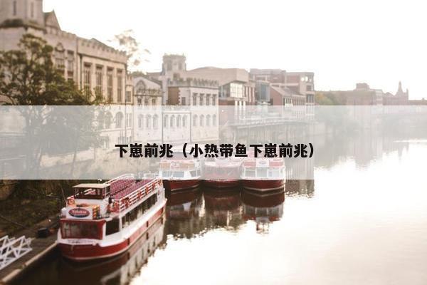 下崽前兆（小热带鱼下崽前兆）