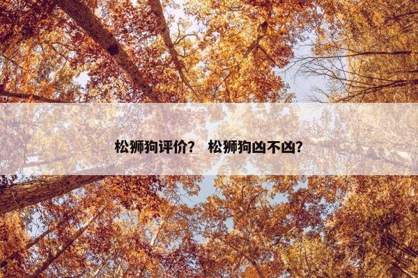 松狮狗评价？ 松狮狗凶不凶？