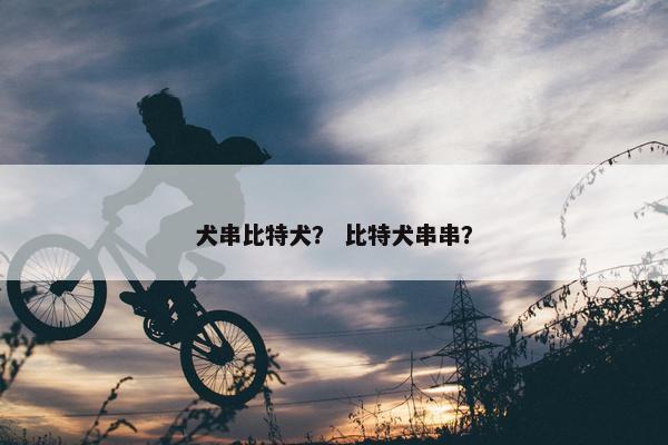 犬串比特犬？ 比特犬串串？