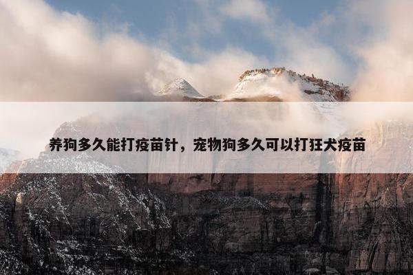 养狗多久能打疫苗针，宠物狗多久可以打狂犬疫苗