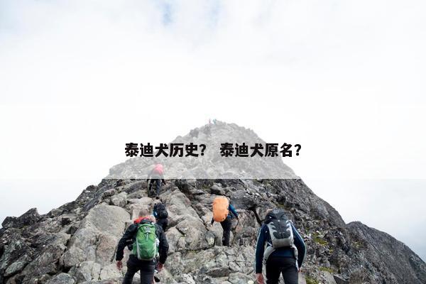 泰迪犬历史？ 泰迪犬原名？