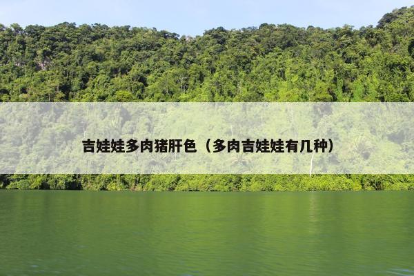吉娃娃多肉猪肝色（多肉吉娃娃有几种）