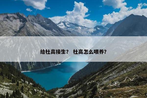 给杜高接生？ 杜高怎么喂养？