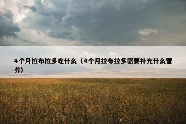 4个月拉布拉多吃什么（4个月拉布拉多需要补充什么营养）