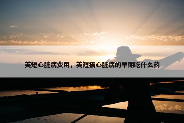 英短心脏病费用，英短猫心脏病的早期吃什么药