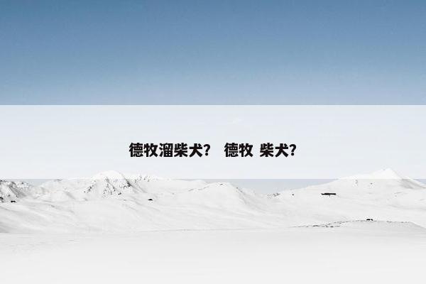 德牧溜柴犬？ 德牧 柴犬？