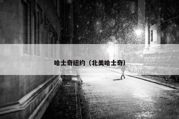哈士奇纽约（北美哈士奇）