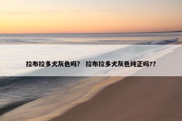 拉布拉多犬灰色吗？ 拉布拉多犬灰色纯正吗?？