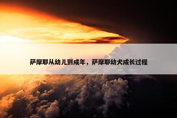 萨摩耶从幼儿到成年，萨摩耶幼犬成长过程