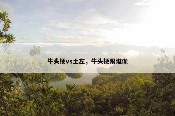牛头梗vs土左，牛头梗跟谁像