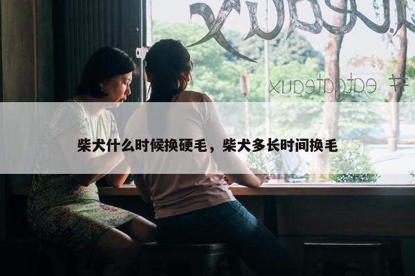 柴犬什么时候换硬毛，柴犬多长时间换毛