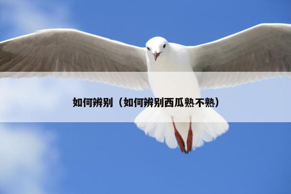 如何辨别（如何辨别西瓜熟不熟）