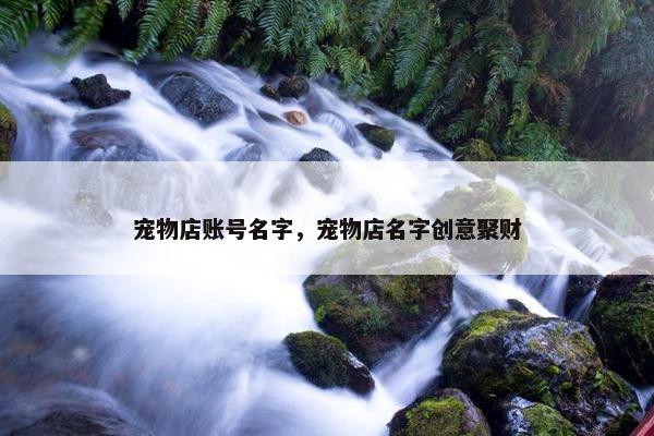 宠物店账号名字，宠物店名字创意聚财