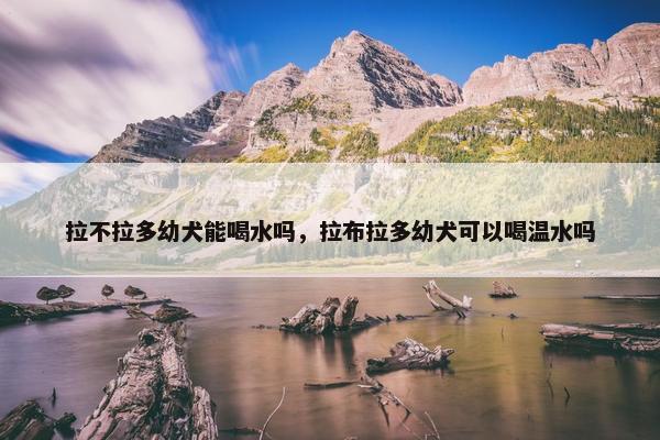 拉不拉多幼犬能喝水吗，拉布拉多幼犬可以喝温水吗