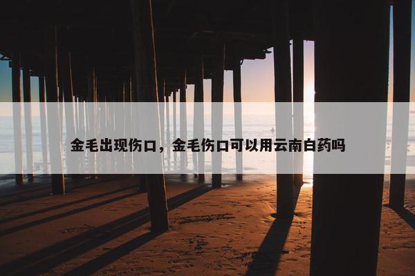 金毛出现伤口，金毛伤口可以用云南白药吗