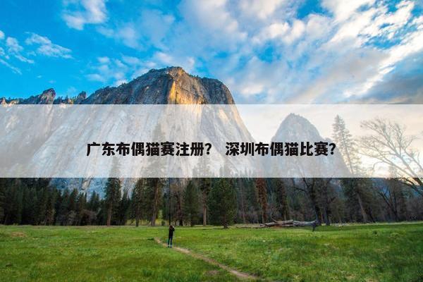 广东布偶猫赛注册？ 深圳布偶猫比赛？