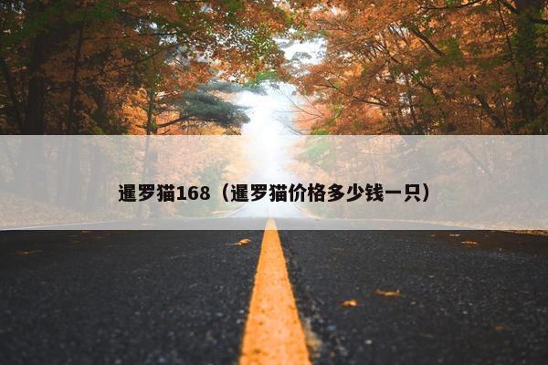 暹罗猫168（暹罗猫价格多少钱一只）