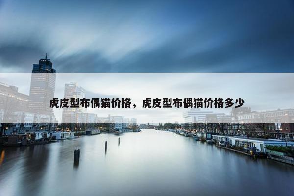 虎皮型布偶猫价格，虎皮型布偶猫价格多少