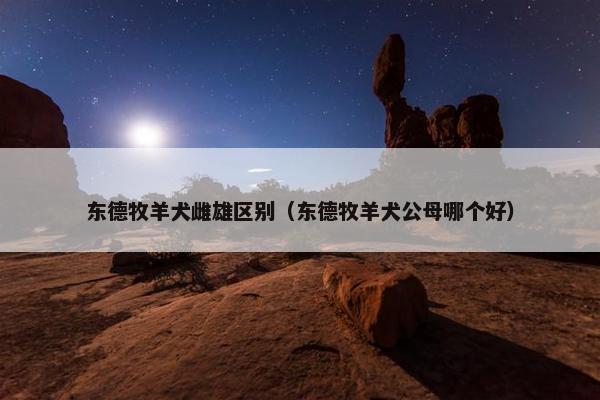 东德牧羊犬雌雄区别（东德牧羊犬公母哪个好）