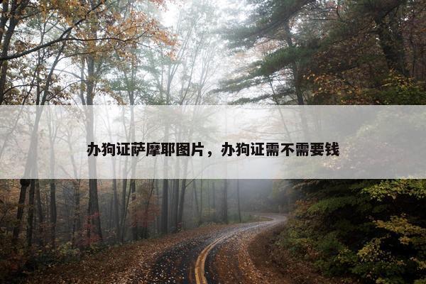 办狗证萨摩耶图片，办狗证需不需要钱