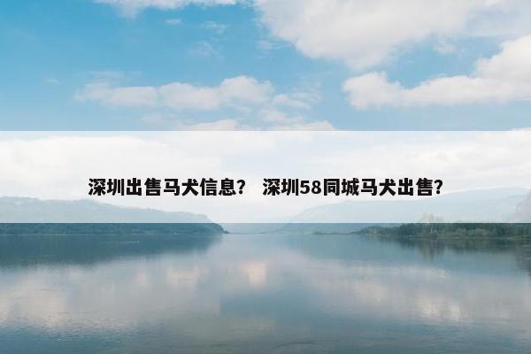 深圳出售马犬信息？ 深圳58同城马犬出售？