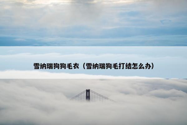 雪纳瑞狗狗毛衣（雪纳瑞狗毛打结怎么办）