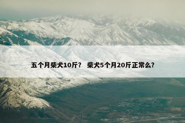 五个月柴犬10斤？ 柴犬5个月20斤正常么？