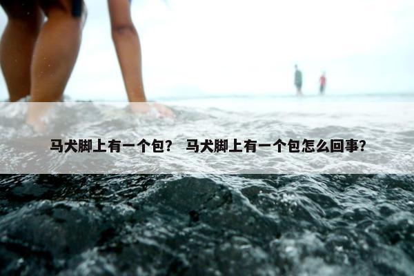 马犬脚上有一个包？ 马犬脚上有一个包怎么回事？
