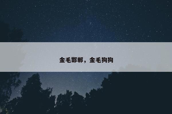 金毛邯郸，金毛狗狗