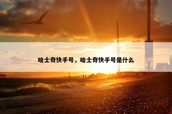 哈士奇快手号，哈士奇快手号是什么