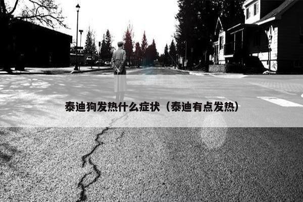 泰迪狗发热什么症状（泰迪有点发热）