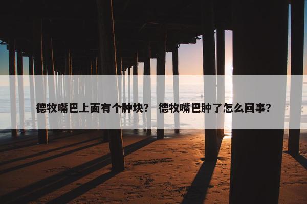 德牧嘴巴上面有个肿块？ 德牧嘴巴肿了怎么回事？