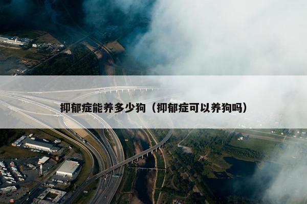 抑郁症能养多少狗（抑郁症可以养狗吗）