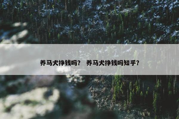 养马犬挣钱吗？ 养马犬挣钱吗知乎？
