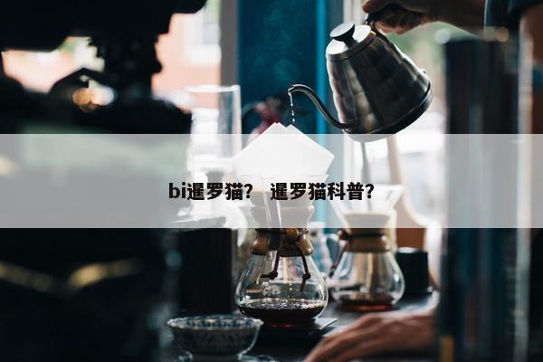 bi暹罗猫？ 暹罗猫科普？