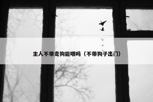 主人不带走狗能喂吗（不带狗子出门）