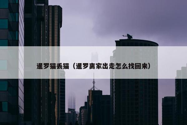 暹罗猫丢猫（暹罗离家出走怎么找回来）